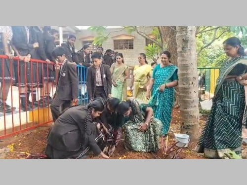 Environment Day